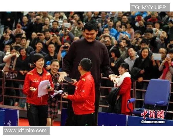 培养不出姚明的背后原因与中国篮球未来发展的思考 培养不出姚明的背后原因与中国篮球未来发展的思考