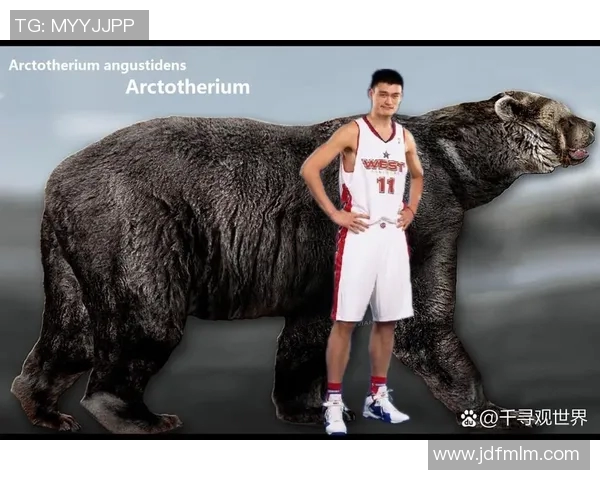 撞脸姚明的那些人他们的相似之处让人忍俊不禁