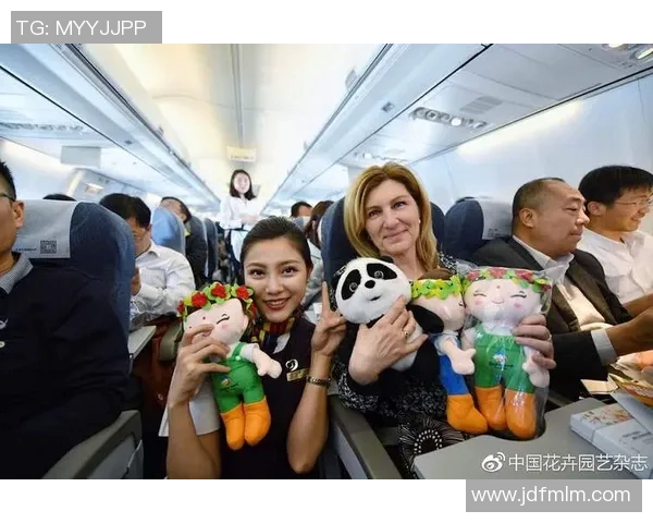 篮球明星妻子携手国航共赴梦想之旅展现运动与生活的完美结合